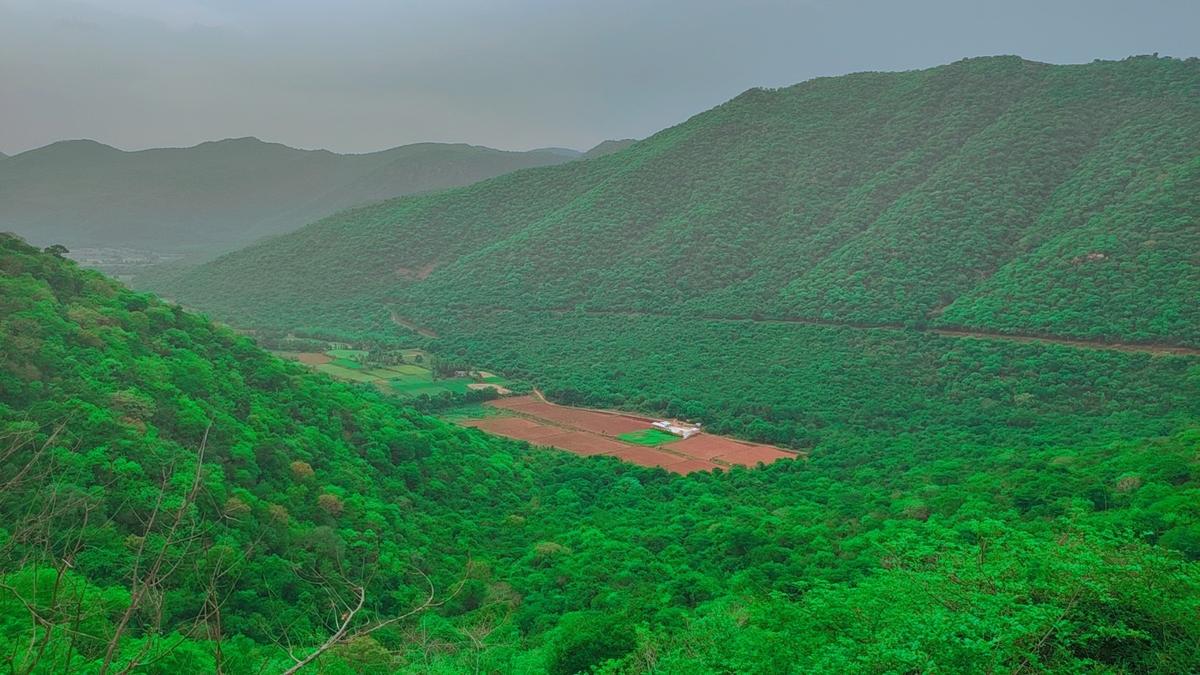 pachamalai eco tourism